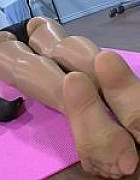 Tv Nylons